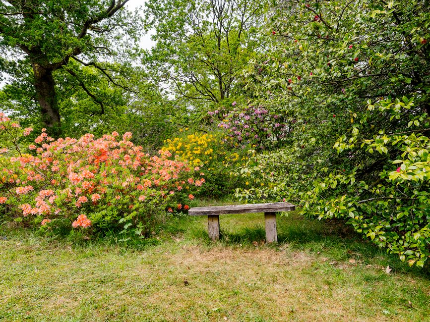 The image showcases the front garden of a traditional timber-framed house with a charming blue and white exterior, complemented by red window frames and olive-green shutters. The garden features lush, well-maintained greenery including vibrant flowering plants with red, yellow, and orange blooms, and leafy shrubs along the cobblestone pathway that leads to a small wooden bench painted in red. The pathway is bordered by compacted gravel and small garden beds filled with rich soil, suggesting ongoing garden maintenance and planting activities. Tall trees with broad green leaves provide partial shade and add to the live, inviting atmosphere. Visible tools like a rake and gardening shears suggest recent trimming or planting work, while the overall scene captures a well-cared-for outdoor space emphasizing garden landscaping, lawn care, and hedge trimming efforts. The warm sunlight enhances the fresh, vibrant colors and textures of the garden, aligning with the professional standards of Gardeners Gallows Corner, natural outdoor care, and garden maintenance suited for Harold Wood station front gardens.