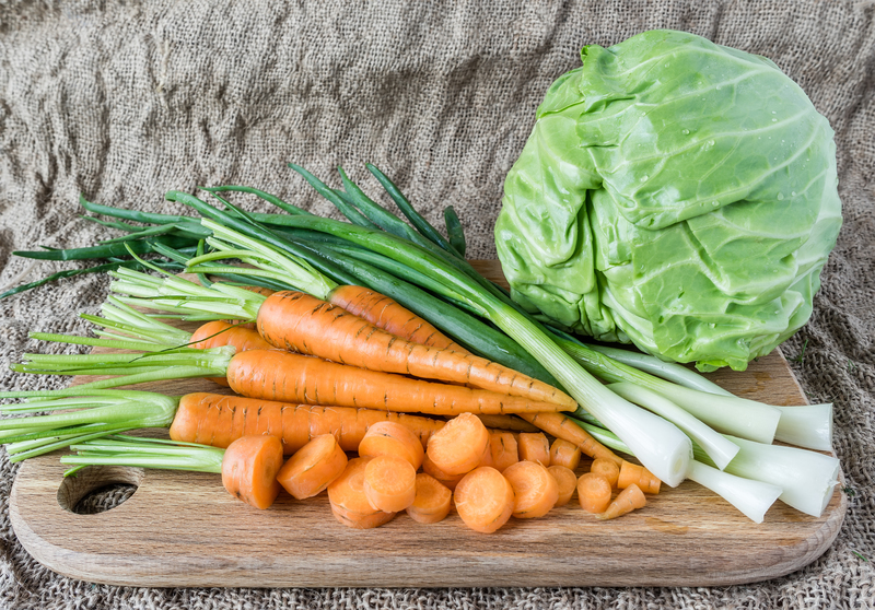 lawn maintenance garden design