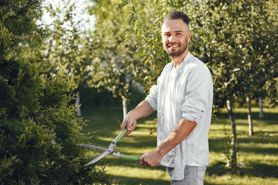A man with a neatly trimmed beard and short hair is outdoors in a garden, engaged in hedge trimming. He is wearing a light-colored, long-sleeved shirt with rolled-up sleeves and grey trousers. The man is holding a pair of long-handled hedge shears, which he is using to cut back a lush, green hedge with dense, needle-like foliage. The garden features a well-maintained lawn with short, trimmed grass, and several apple trees with yellow-green leaves are visible in the background, casting dappled sunlight across the scene. The environment is bright with natural daylight, highlighting the textures of the soil, the hedge’s leaves, and the tools. This scene illustrates routine garden maintenance and landscaping work undertaken by Gardeners Gallows Corner, emphasizing the care taken in lawn care, hedge trimming, and general outdoor gardening.