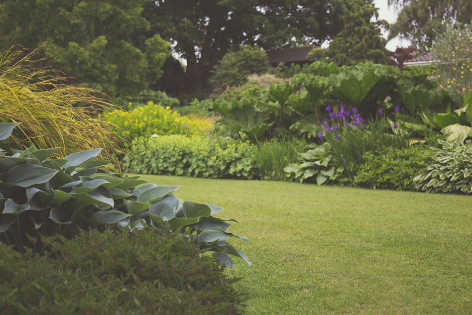 A person wearing a blue rain jacket with the hood up and black trousers is engaged in garden maintenance during rainy weather, using a rake to collect fallen leaves or debris on a well-maintained, lush green lawn. The garden features neatly trimmed bushes and hedges along the right side, including tall, conical-shaped shrubs and rounded hedge borders. To the left, there are flowering plants with pink blooms, interspersed among a variety of small, leafy trees with wet, glistening leaves indicating recent rain. The background shows a landscaped garden with evenly spaced trees and a hedge boundary, under overcast skies, creating a damp and peaceful outdoor setting. This scene highlights careful lawn care and hedge trimming as part of professional garden landscaping work, such as that offered by Gardeners Gallows Corner.