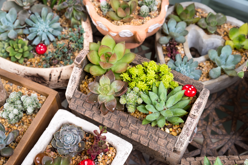 garden maintenance garden